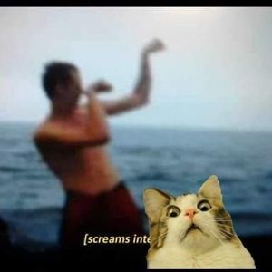 Meet your Posher, Conners